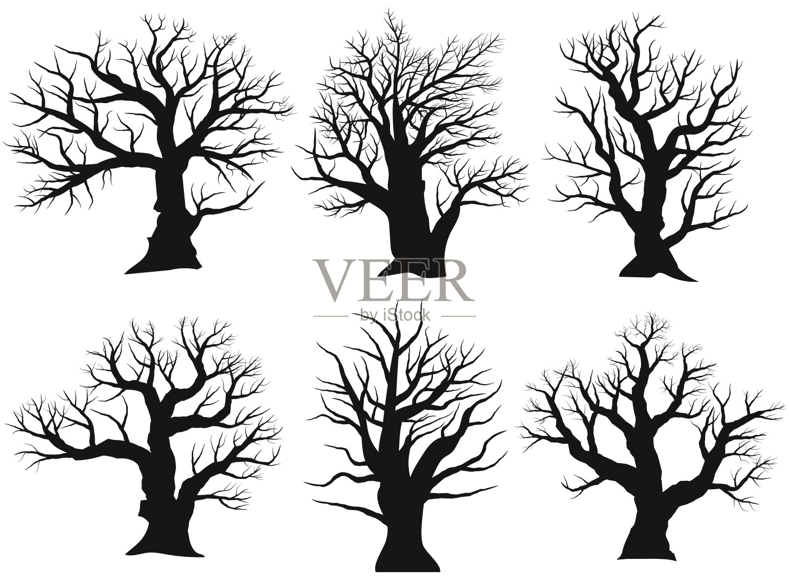 树的轮廓。黑色裸露的橡木轮廓。详细的图像。向量插画图片素材