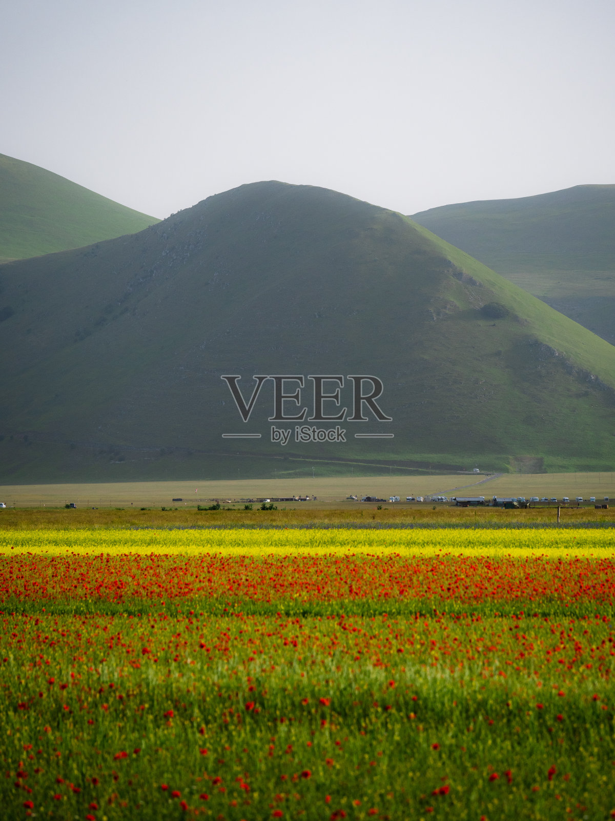 意大利，欧洲，佩鲁贾，翁布里亚，西比利尼山脉，Norcia, Castelluccio di Norcia的扁豆田照片摄影图片