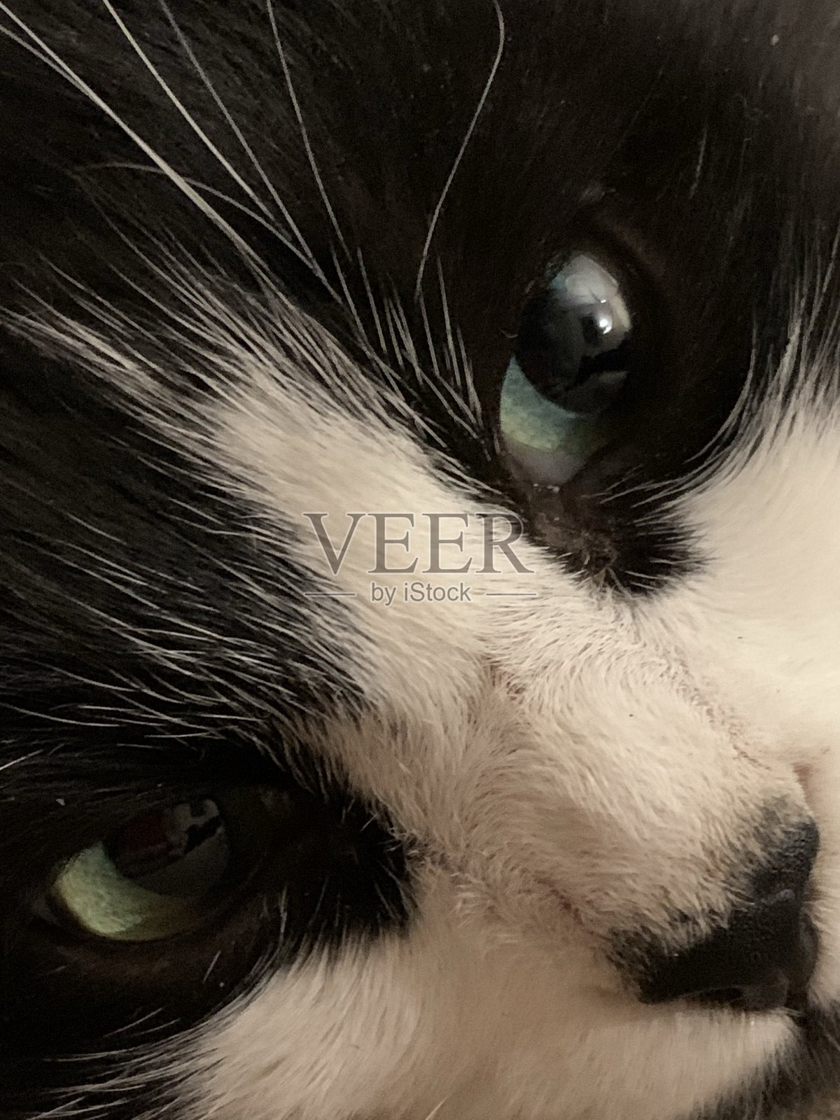 乌拉尔南部Zlatoust照片摄影图片