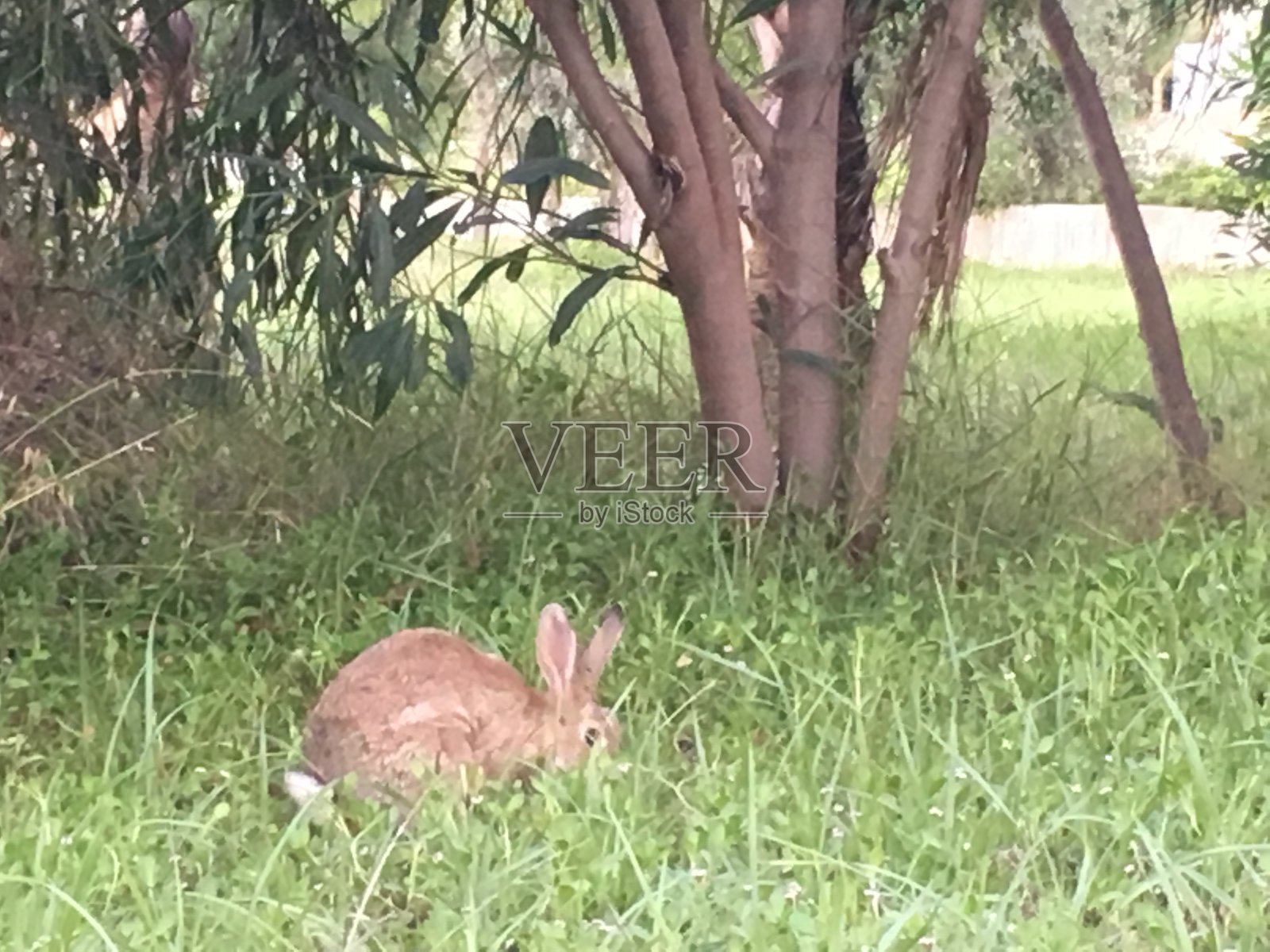 乌拉尔南部Zlatoust照片摄影图片