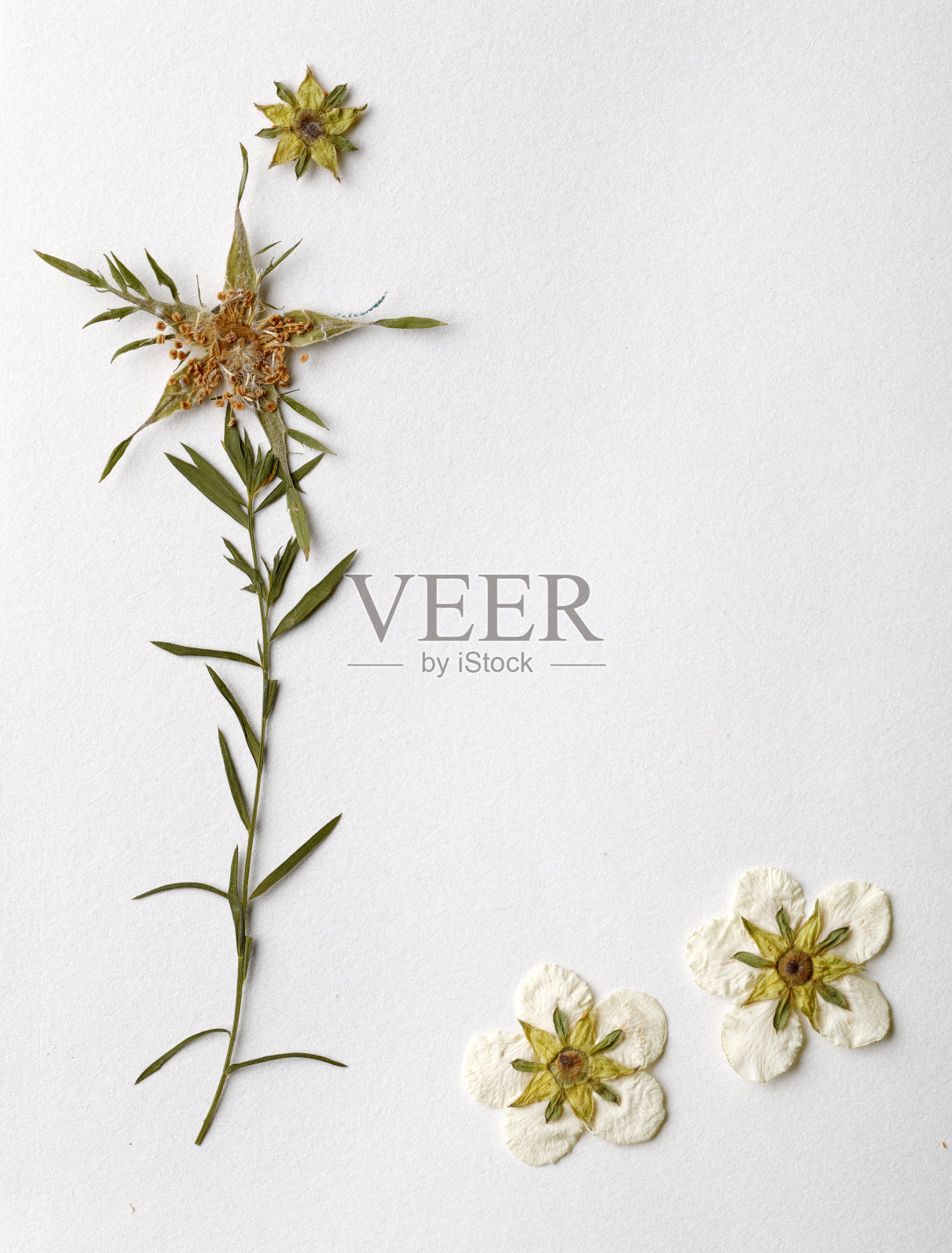 干工厂安排照片摄影图片