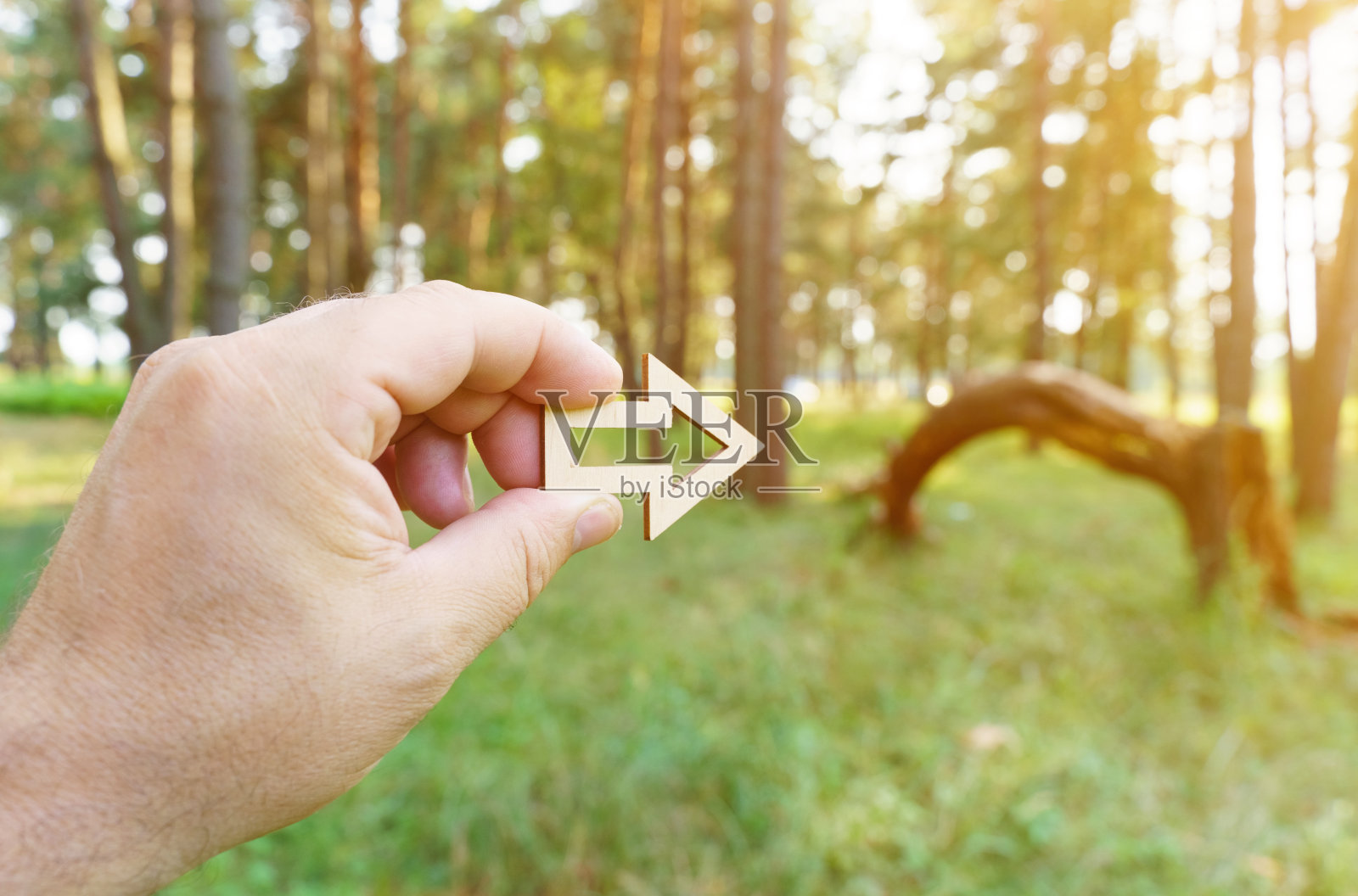 这个人手里拿着一支箭，箭指向森林里的一棵折断的树。森林和树木没有聚焦照片摄影图片