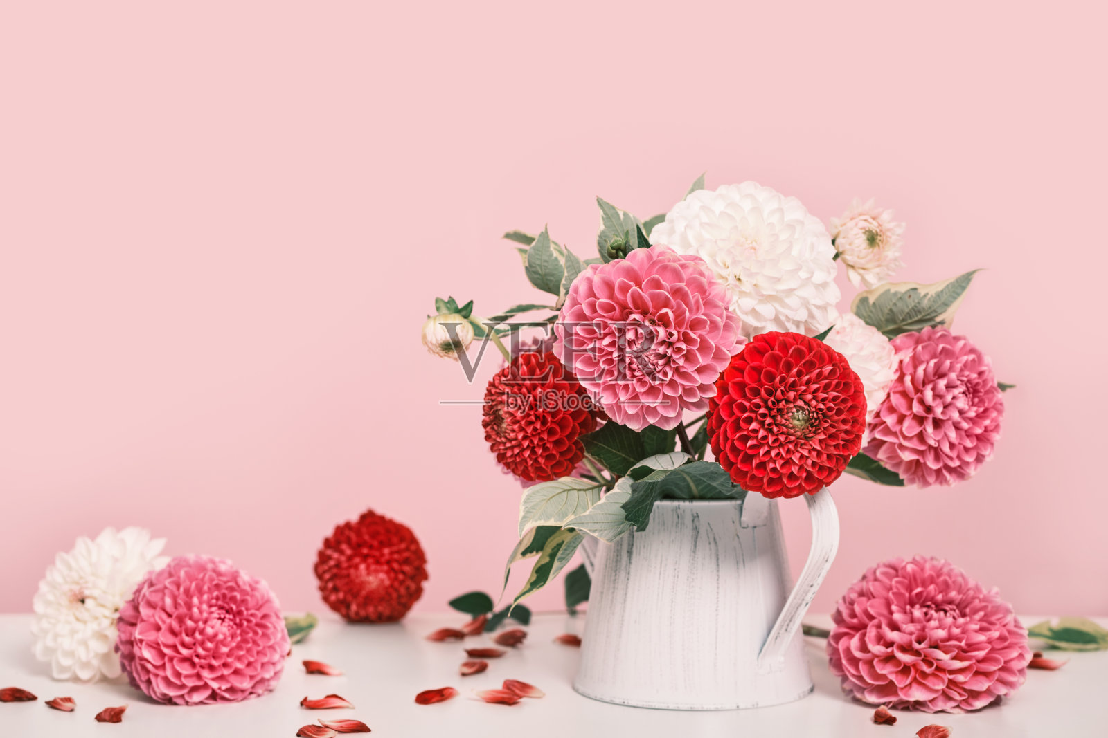 白色桌上摆着一束美丽的大丽花和花瓣。秋天喜庆的装饰，时髦的影子照片摄影图片