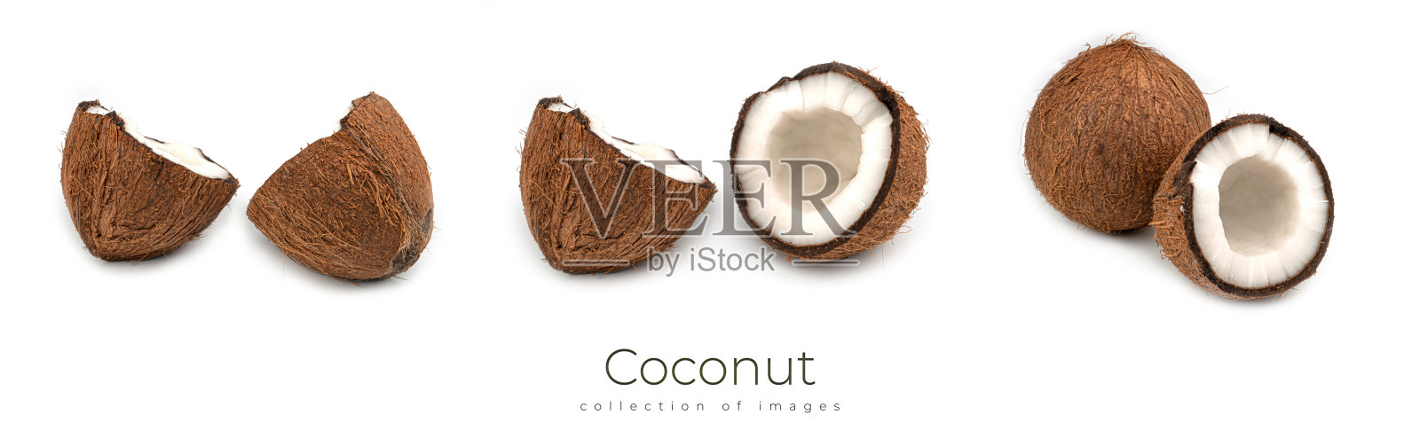 白色背景下孤立的椰子。宏观照片。椰子集照片摄影图片