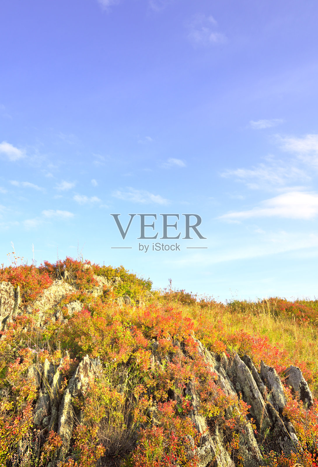 蓝天下的山坡照片摄影图片