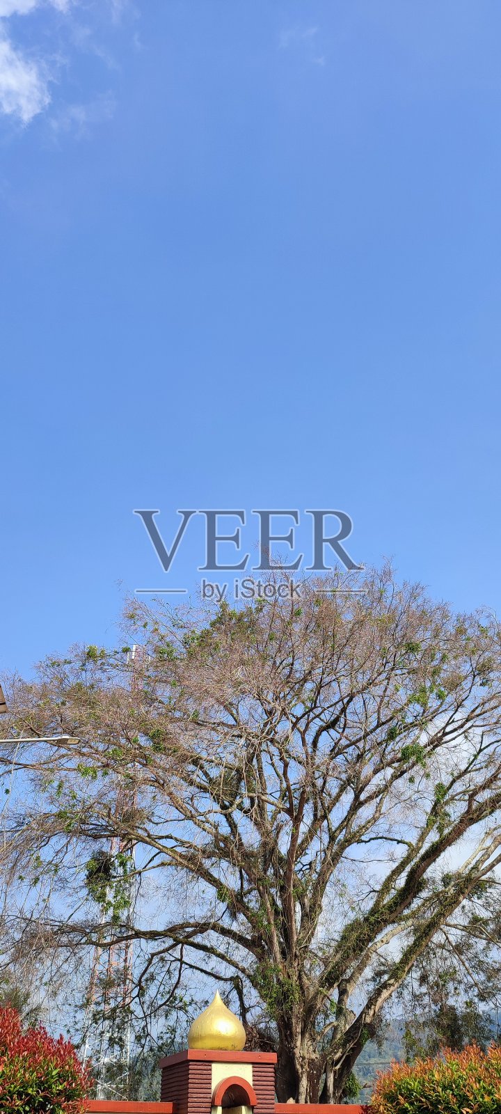 印度尼西亚，西爪哇岛，一个阳光明媚的下午，在清真寺的院子里，照片摄影图片