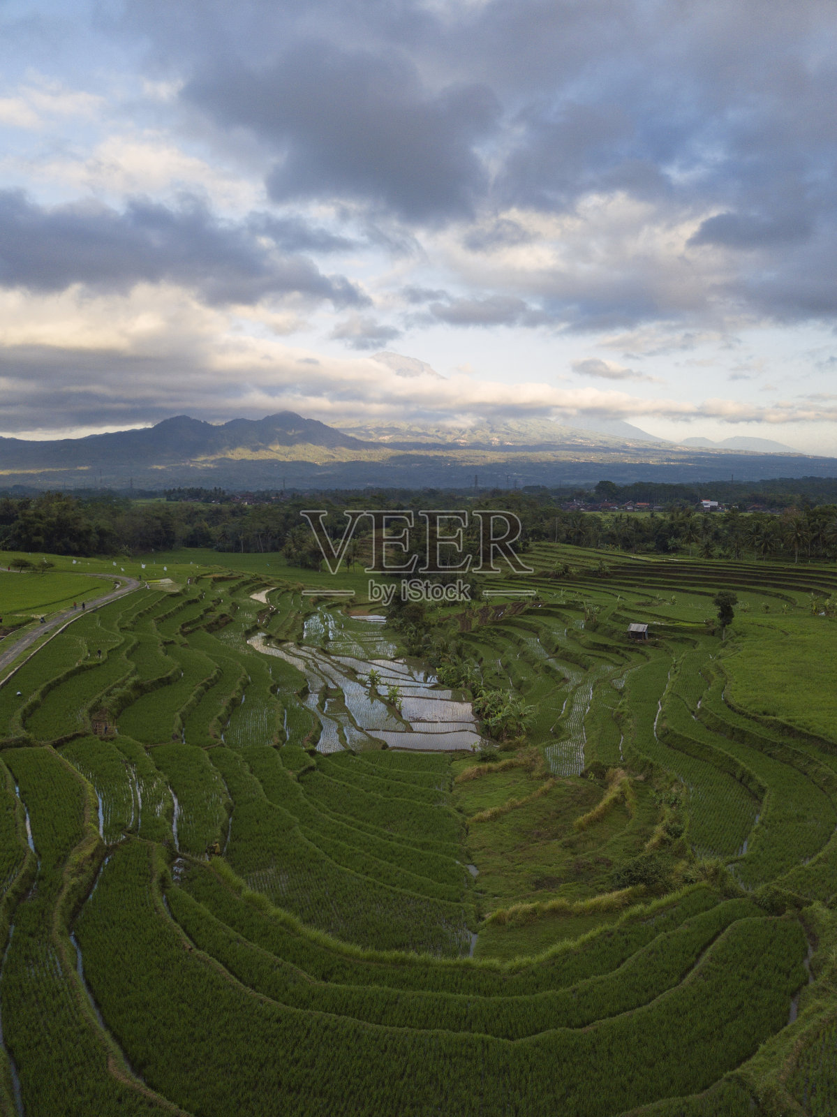 无人机拍摄的稻田与水田植物和云山在远处照片摄影图片