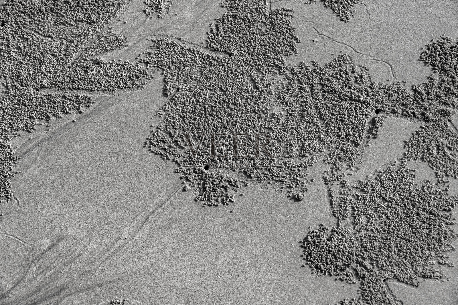 沙滩上的纹理背景照片摄影图片