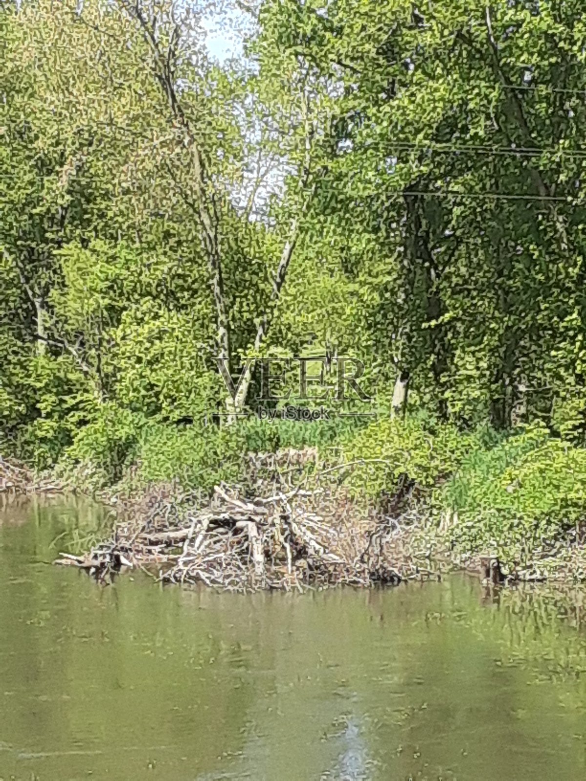 伊利诺斯州中部的麦基诺河照片摄影图片