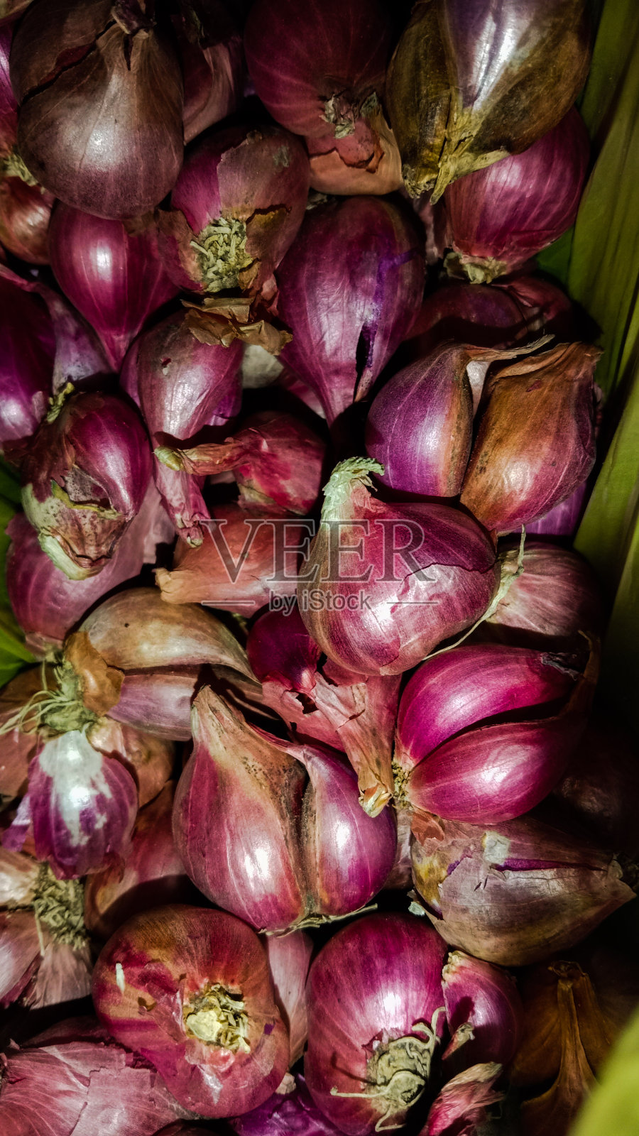 红色的新联盟照片摄影图片