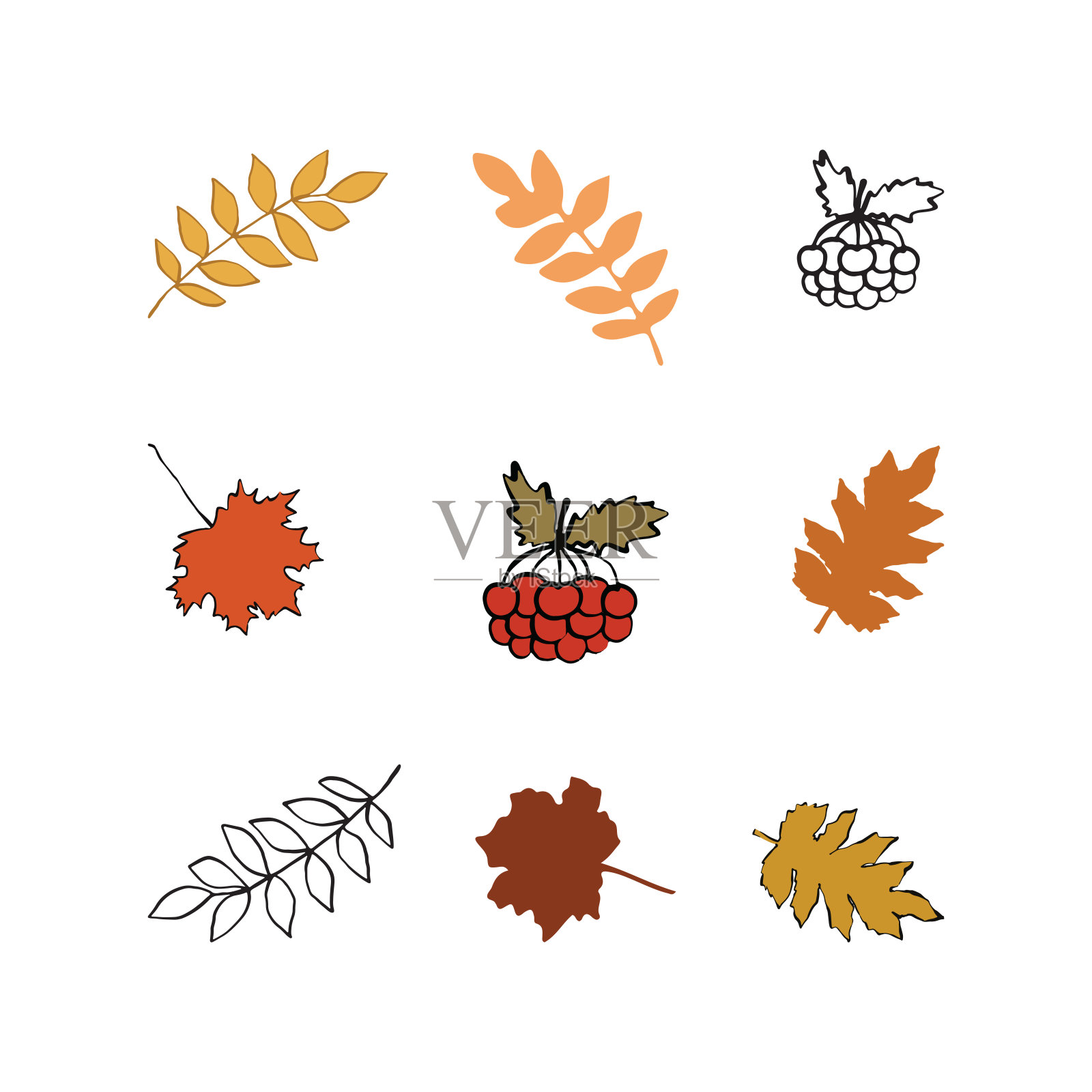 一套秋叶插画图片素材