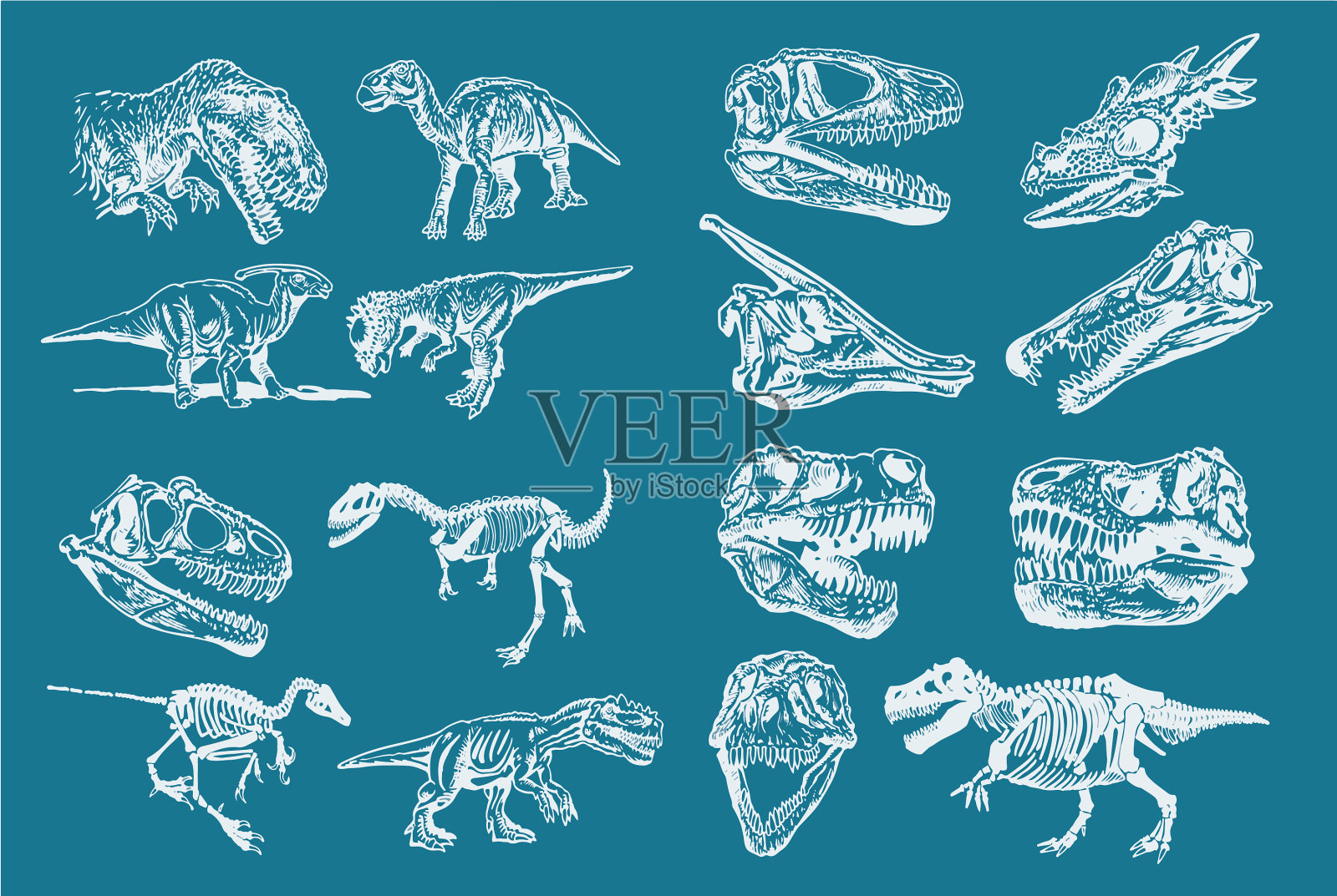 图形色彩组恐龙时尚插画图片素材