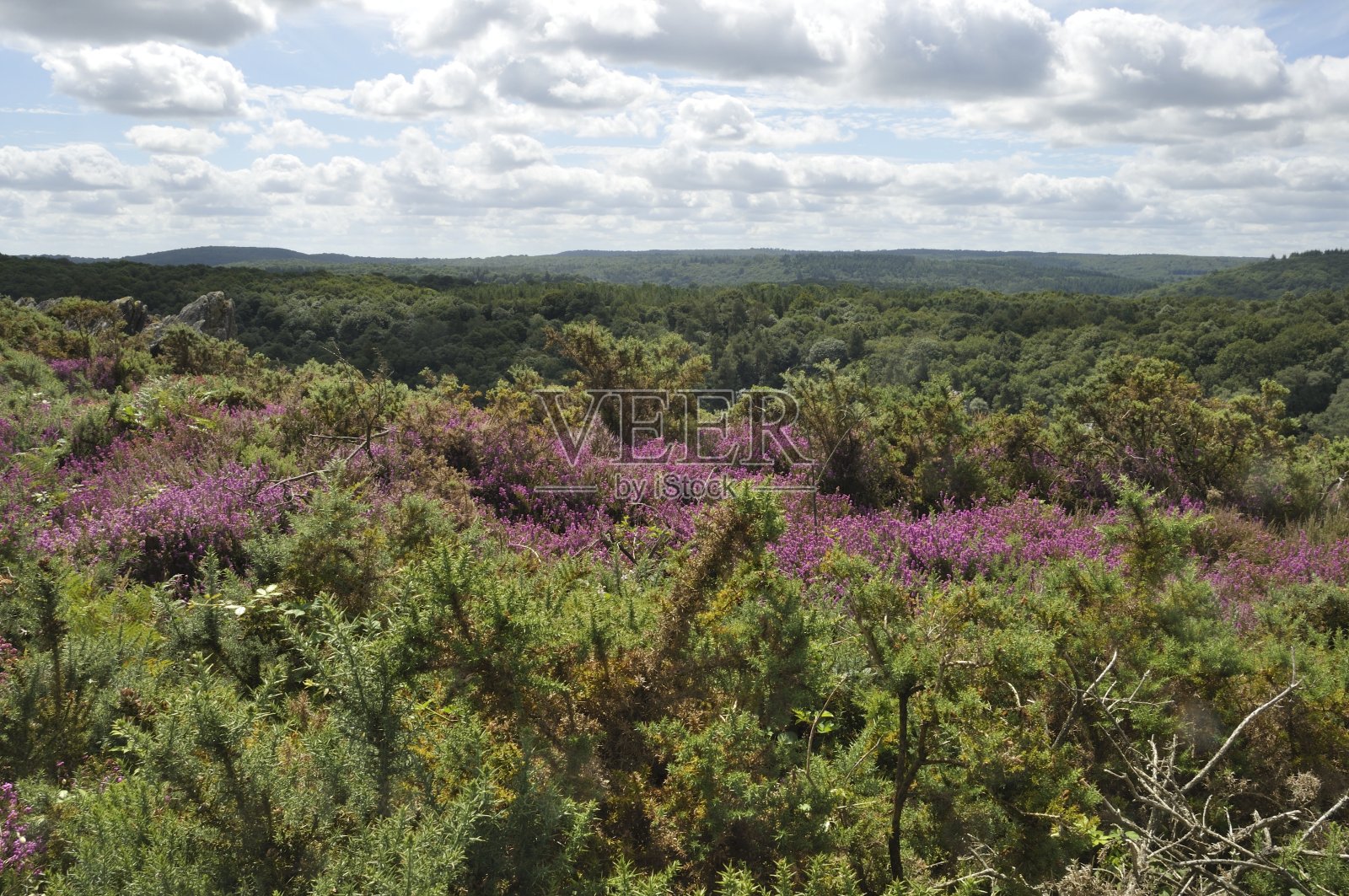在布列塔尼的Bon Repos sur Blavet照片摄影图片