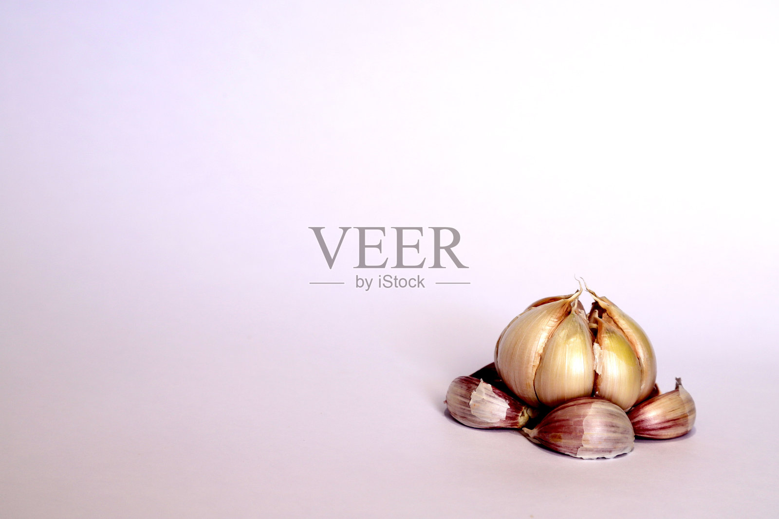 白色背景上的大蒜和丁香照片摄影图片