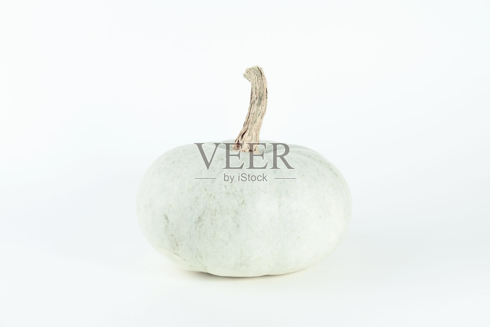 南瓜孤立在白色背景与阴影。成熟的绿白南瓜。秋天收获。照片摄影图片