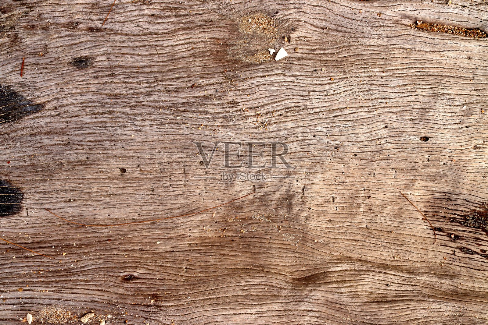 近距离照片的表面老开裂的树干与许多线照片摄影图片