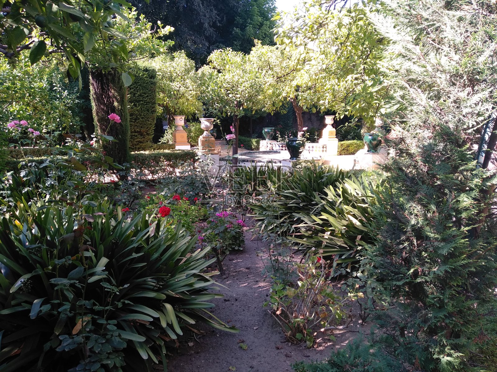 绿色的花园照片摄影图片