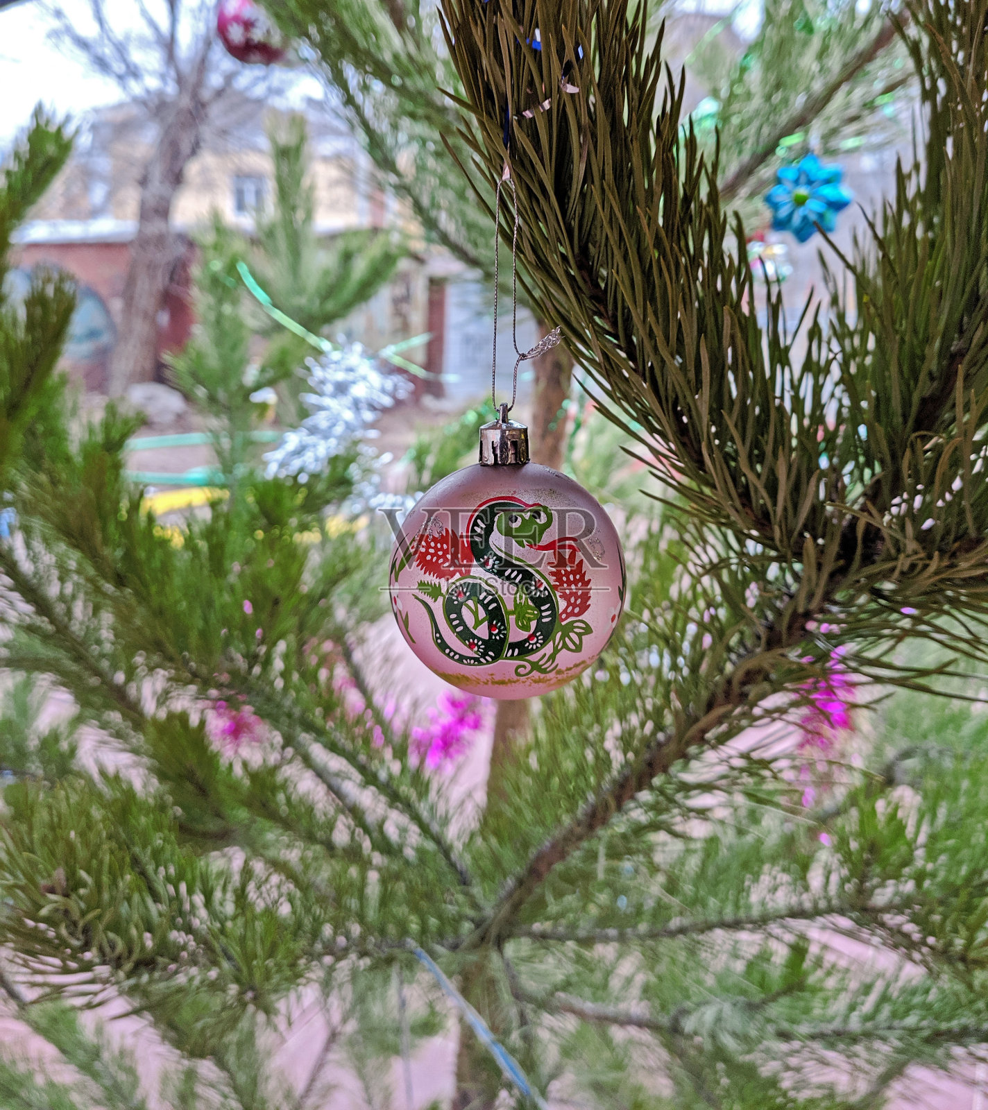 带有蛇图案的玻璃圣诞球作为一年的象征挂在圣诞树上照片摄影图片