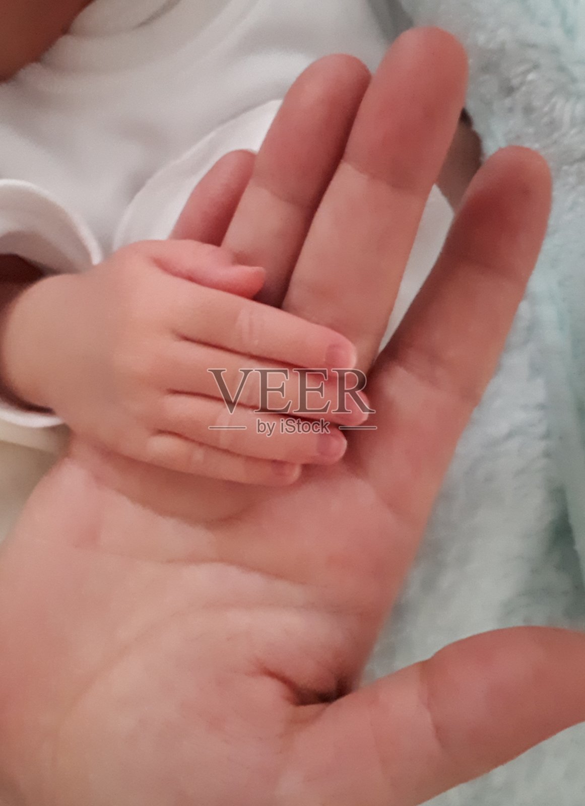 妈妈和宝宝的手照片摄影图片