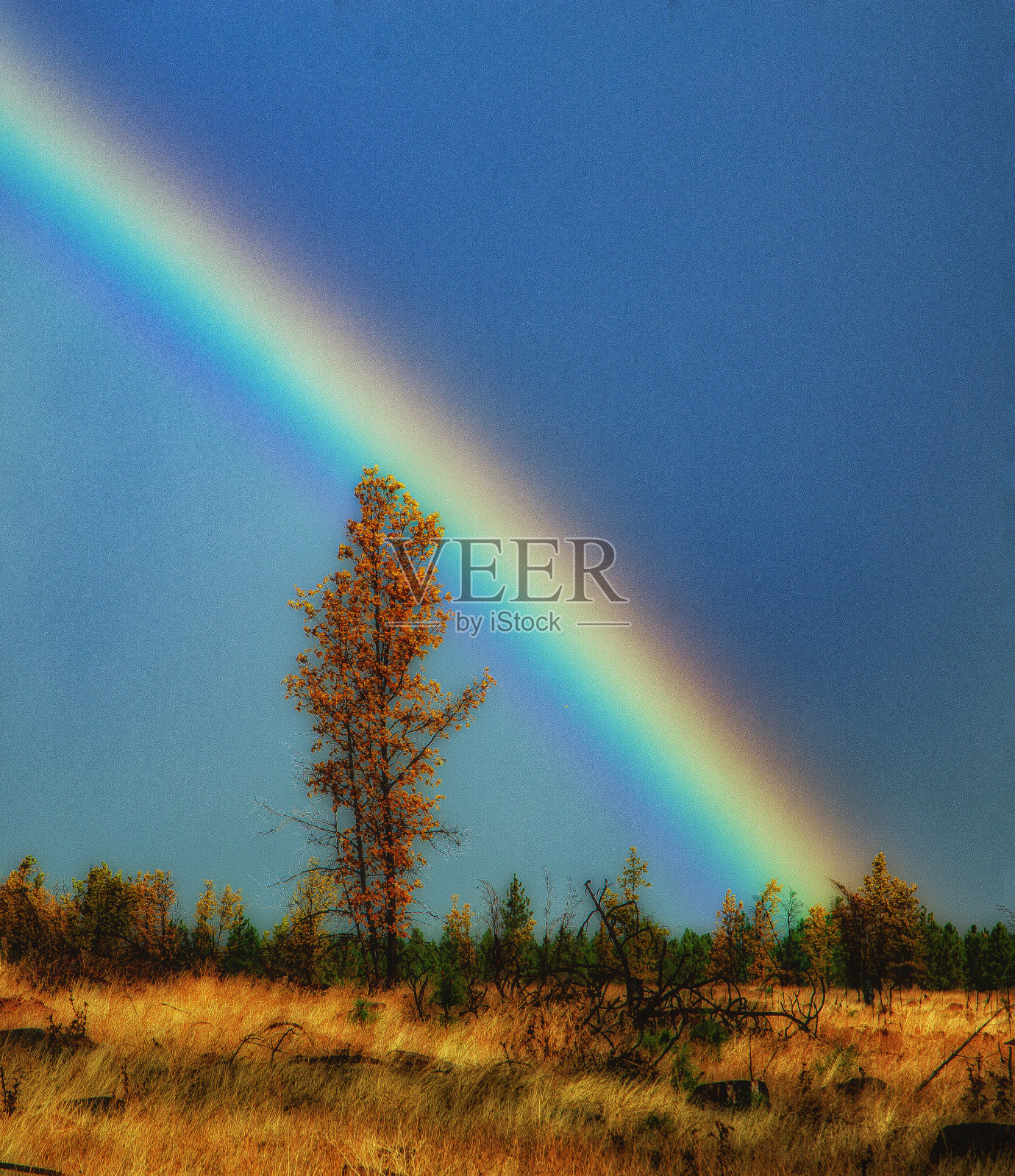 彩虹照片摄影图片