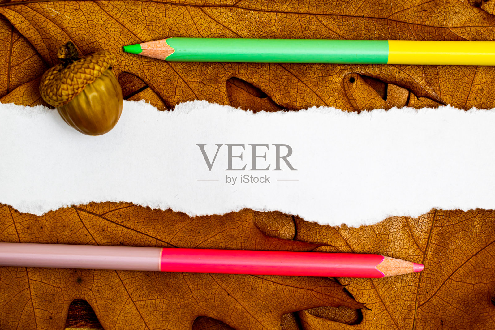 布告栏上的空白便条。落叶的秋天背景照片摄影图片