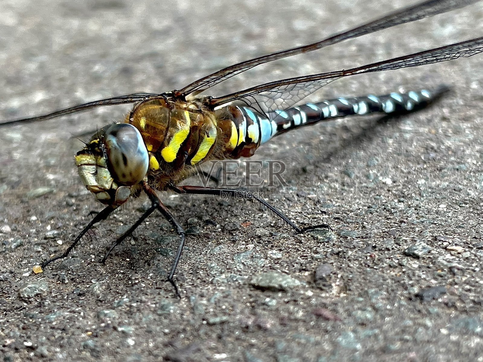 流动小贩照片摄影图片