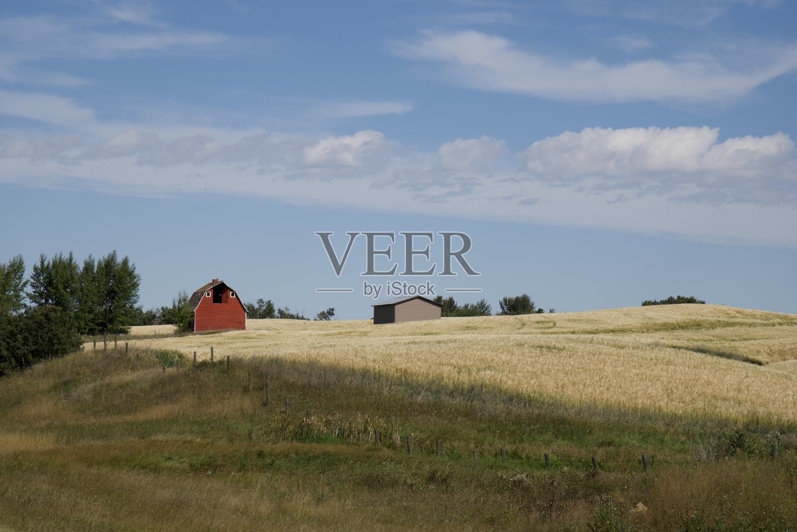 大草原上的红色谷仓照片摄影图片