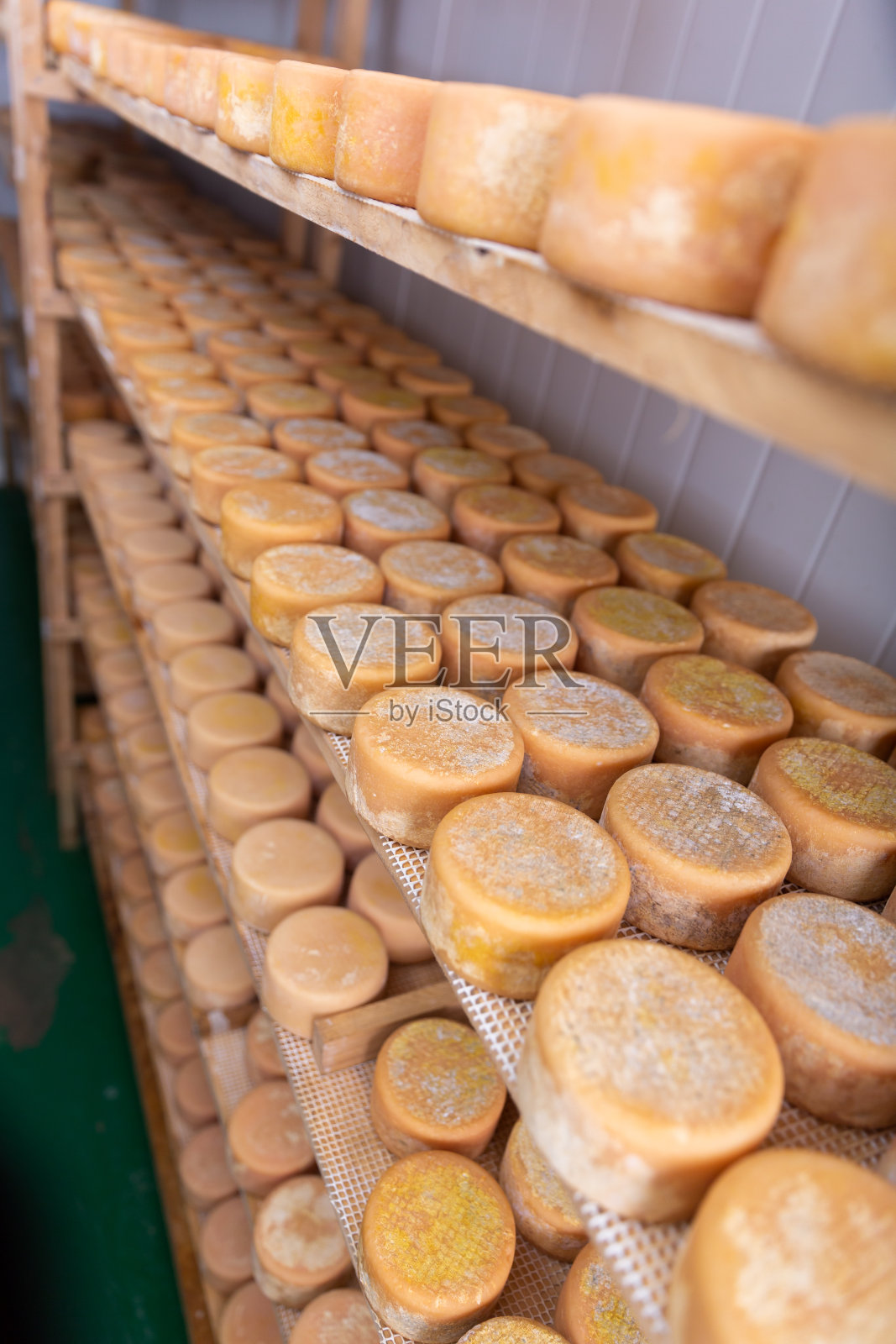 在奶酪工厂的成熟室里，架子上放着山羊奶酪头照片摄影图片