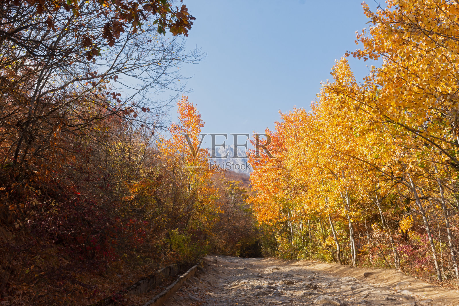 秋天阿斯彭森林。在山区用石头筑成的乡村道路照片摄影图片