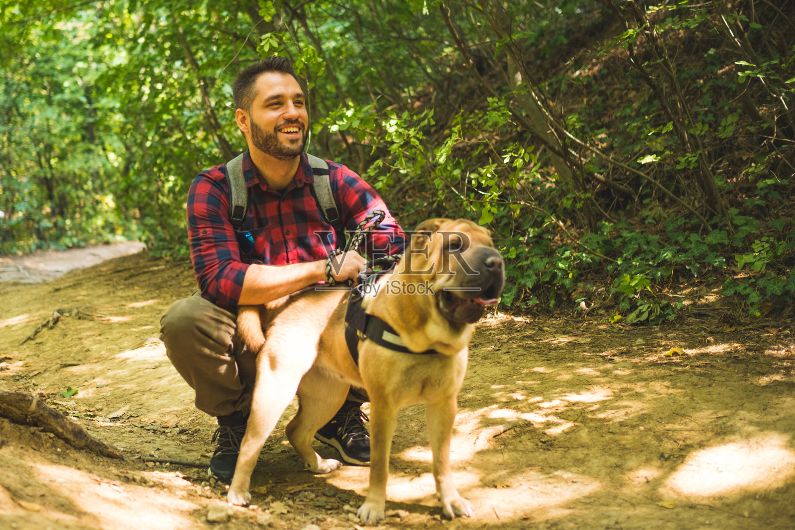 一个男人穿着格子衬衫和他的狗在树林里微笑照片摄影图片