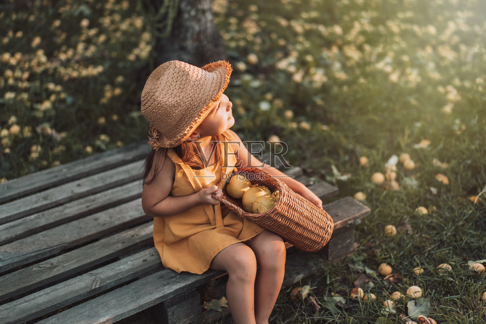 小女孩拿着柳条篮子和梨子照片摄影图片