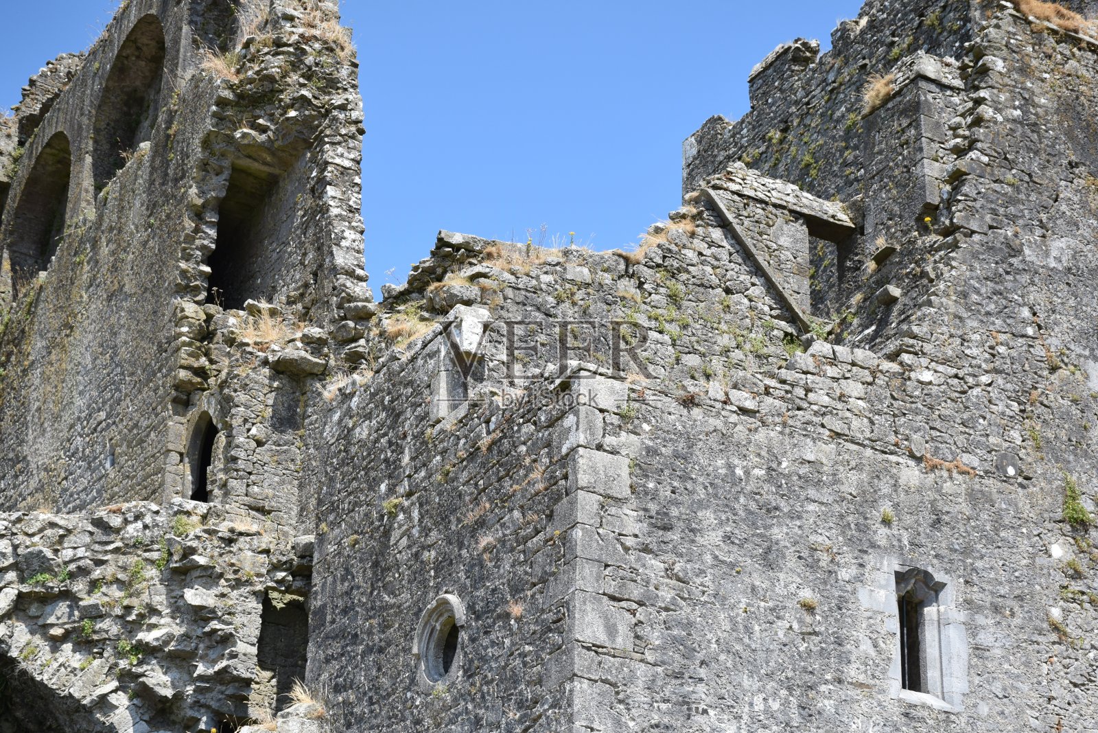 爱尔兰城堡废墟的灌木丛照片摄影图片