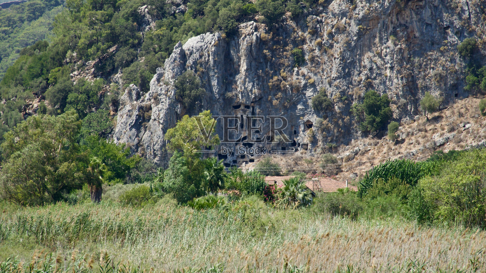 卡诺斯古城的国王石墓。Dalyan靠近Iztuzu海滩，这是Caretta Caretta的产卵区。照片摄影图片
