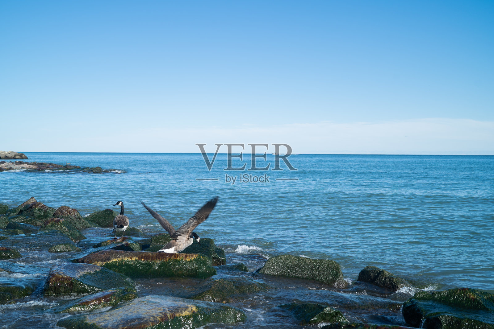 阳光明媚的一天，加拿大安大略省温暖的海滩照片摄影图片