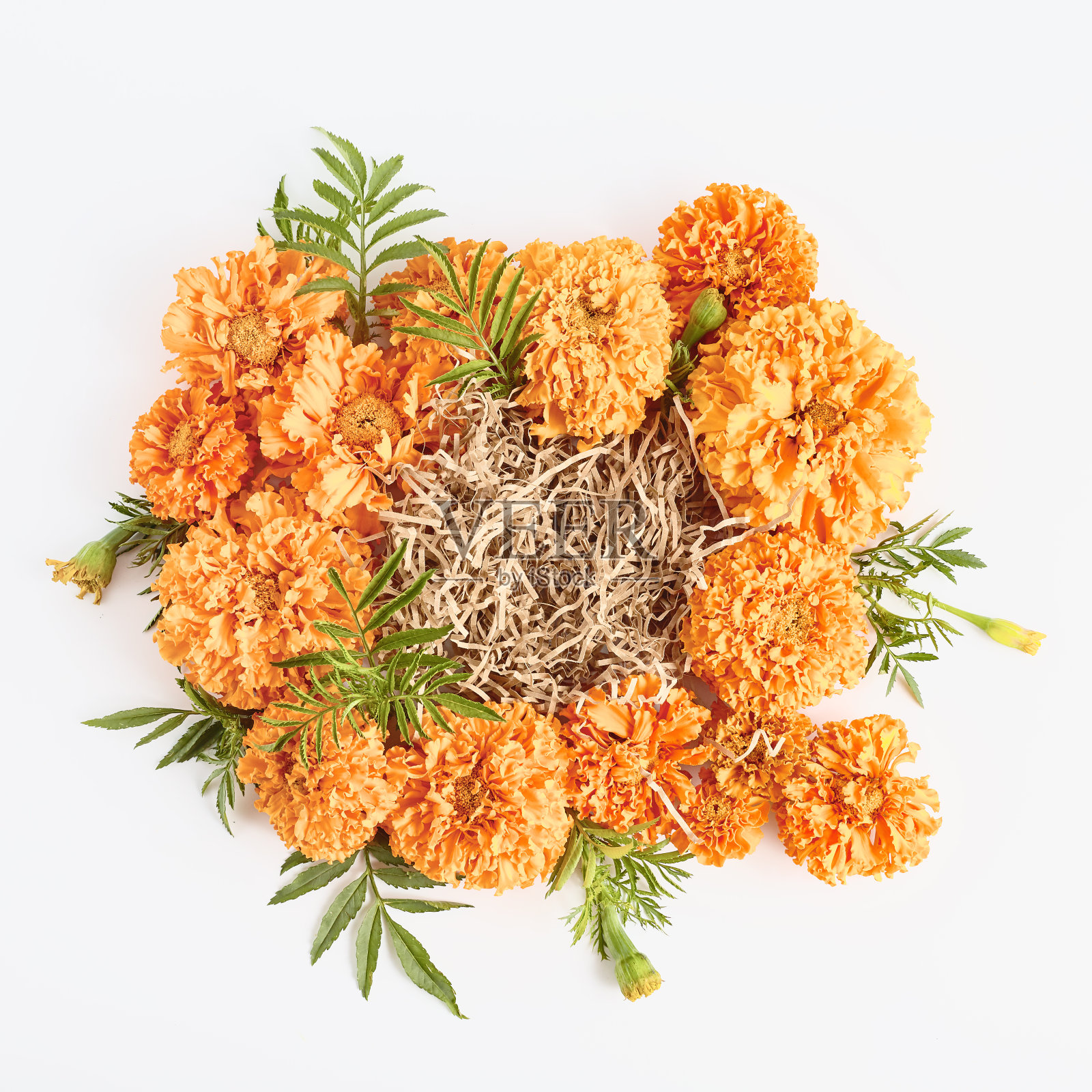 秋天的构图明亮的橙色花朵在白色的背景。请柬或贺卡的模型，复制空间，平铺照片摄影图片