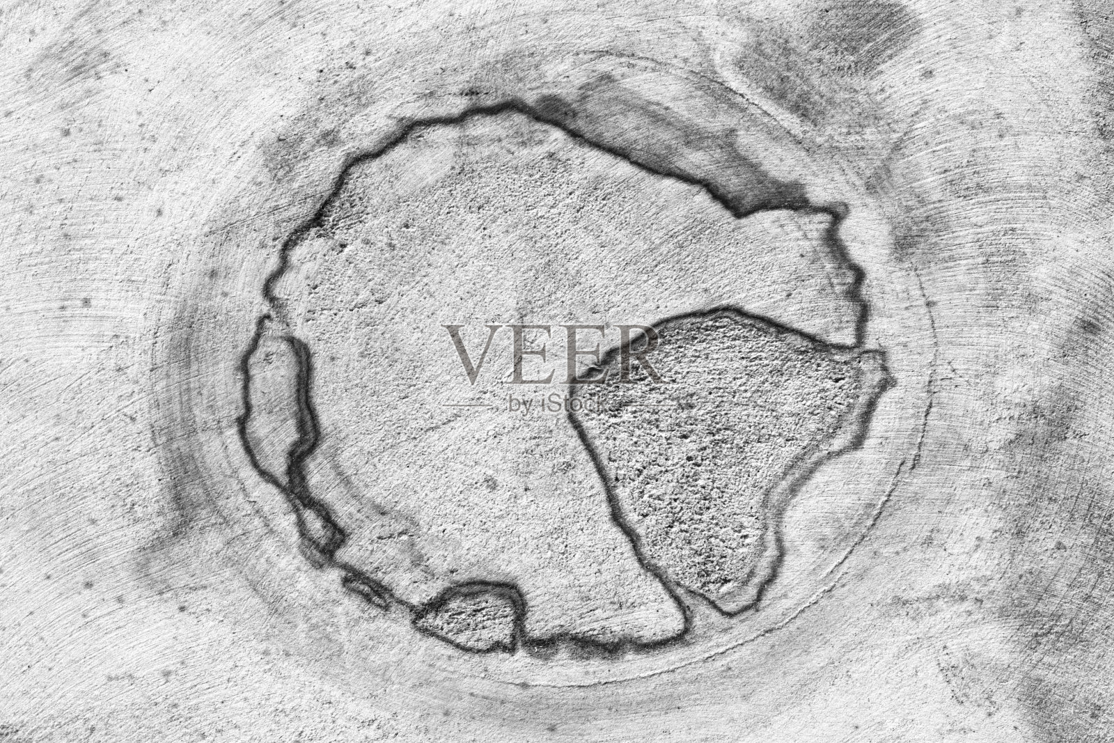 显示年轮的橡树林树干的横截面照片摄影图片