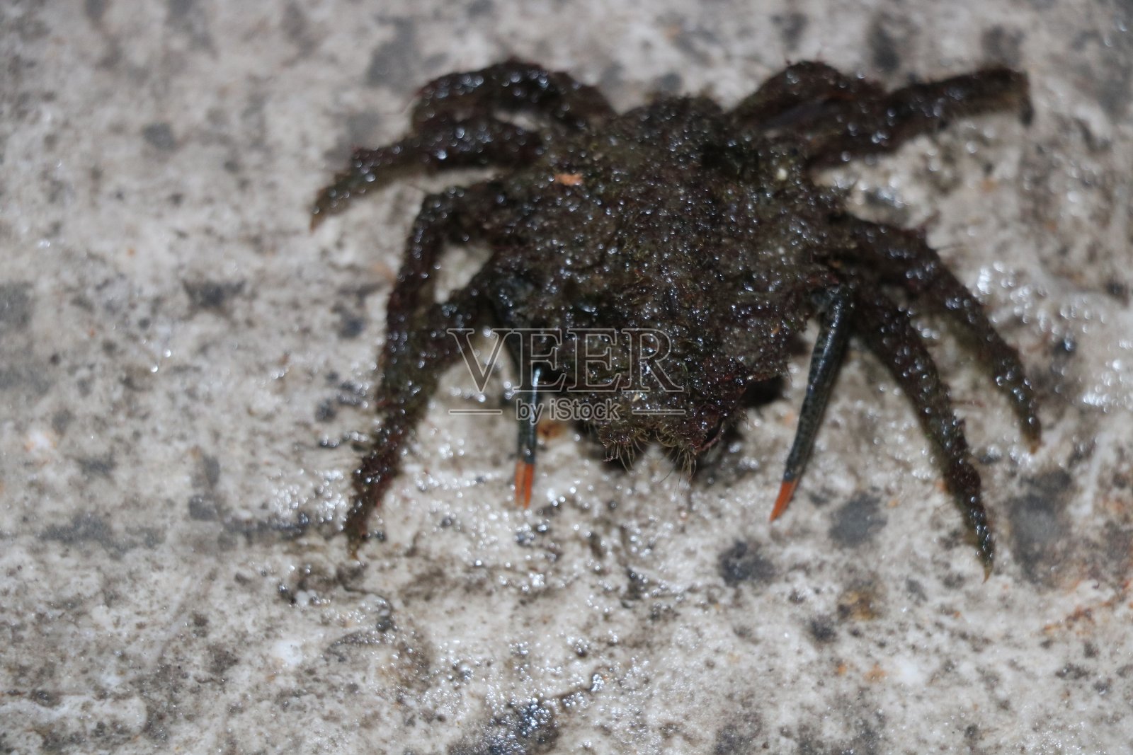 认识到你的世界照片摄影图片