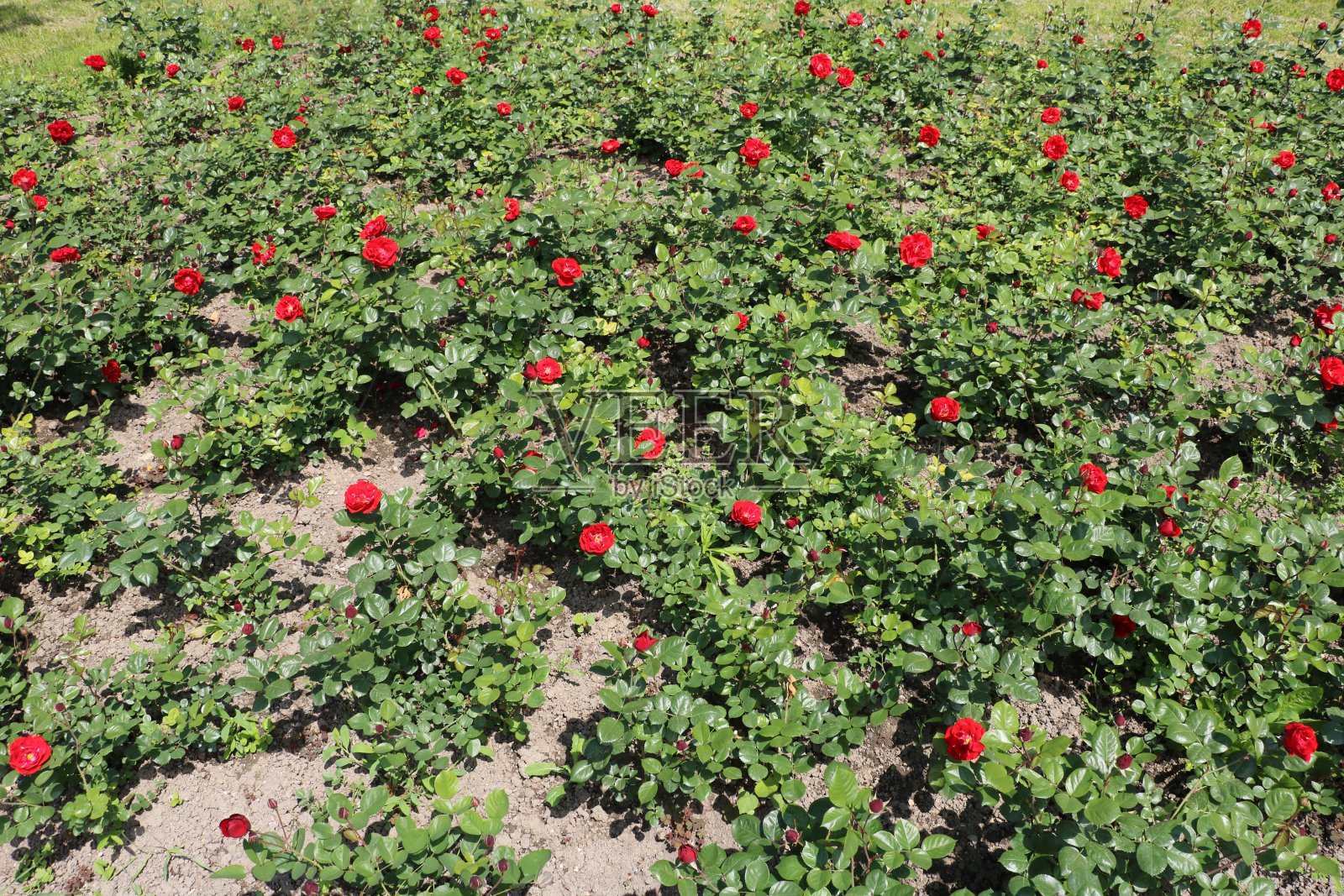 认识到你的世界照片摄影图片