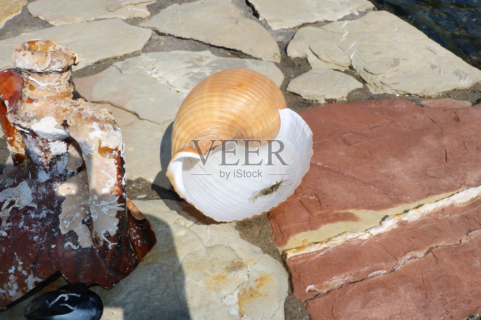 认识到你的世界照片摄影图片