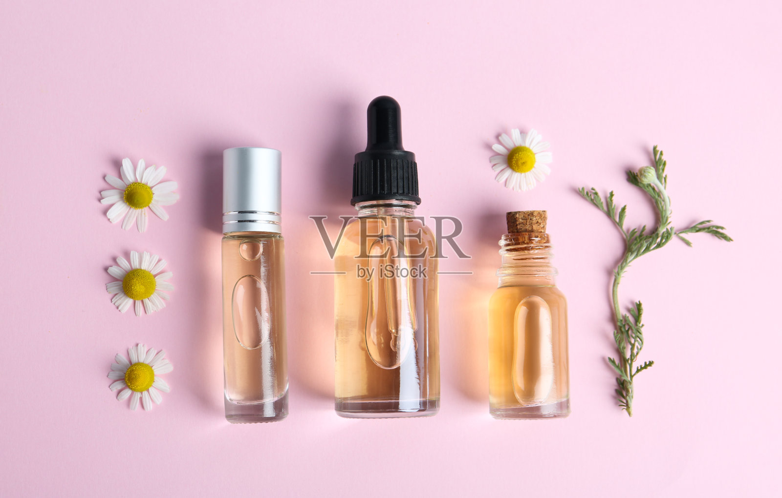 平铺构图与洋甘菊精油在粉红色背景照片摄影图片