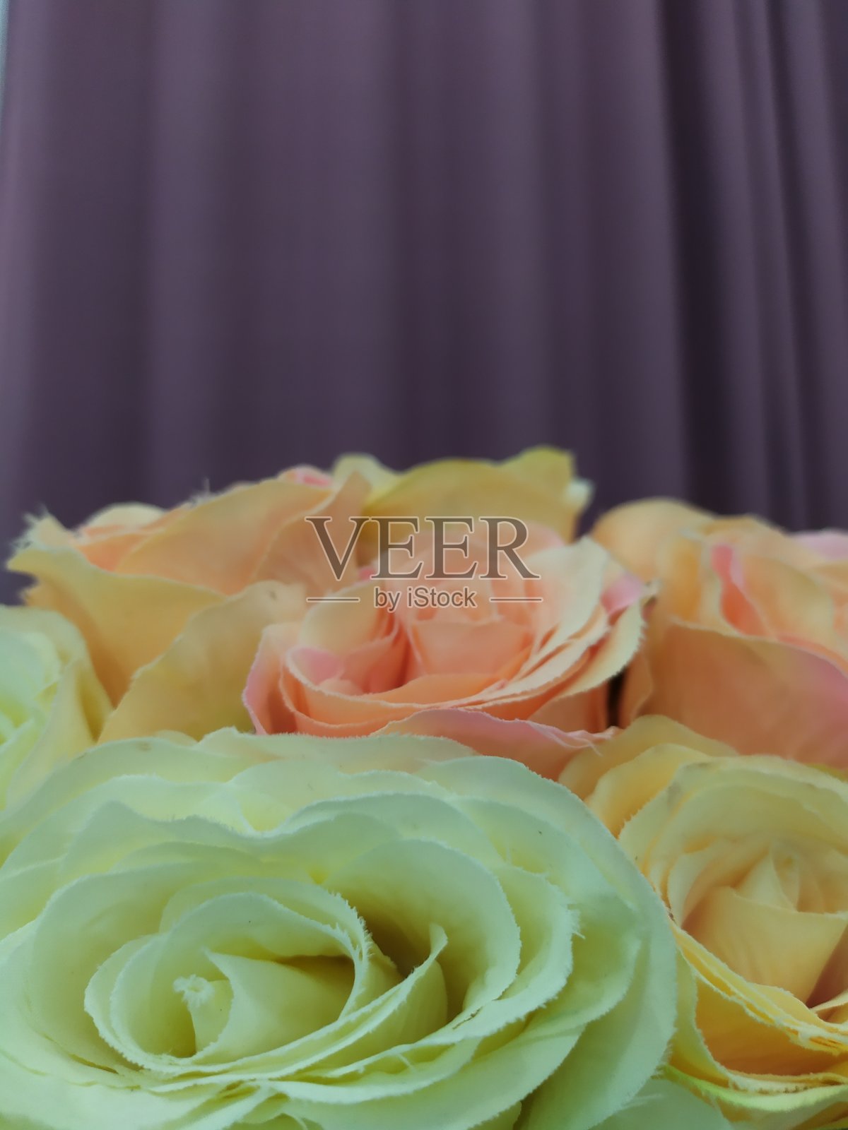 装饰玫瑰花与紫色背景照片摄影图片