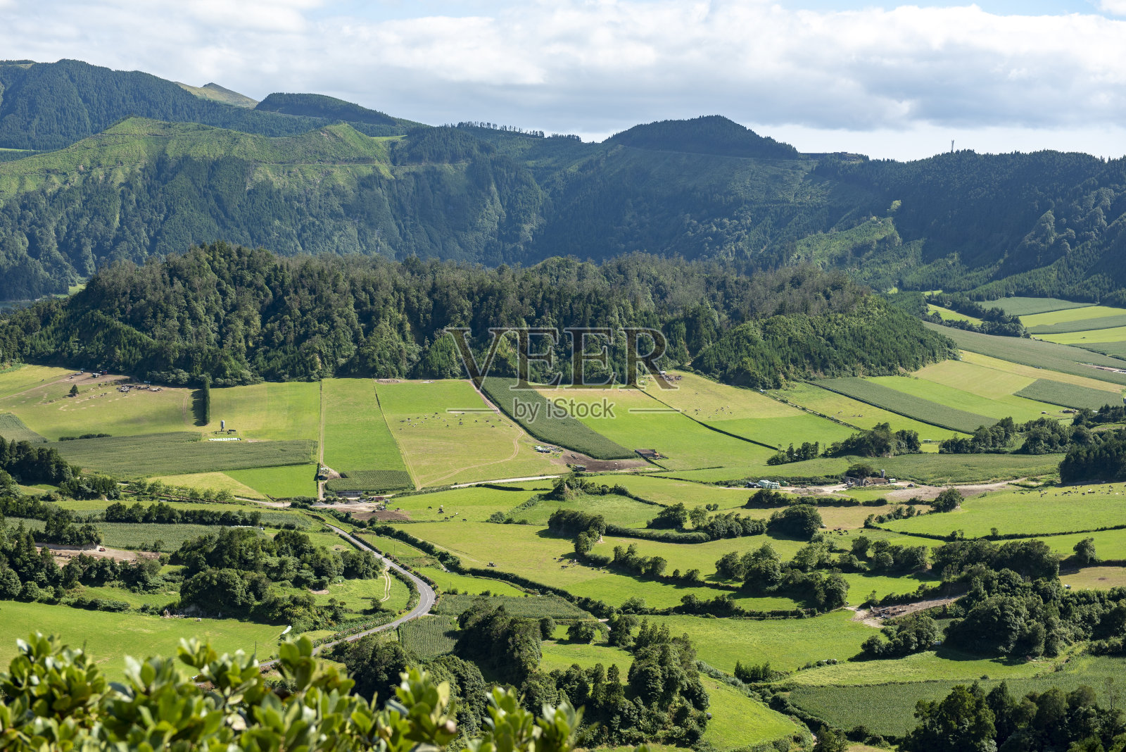 圣米格尔岛上的牧场和玉米地照片摄影图片