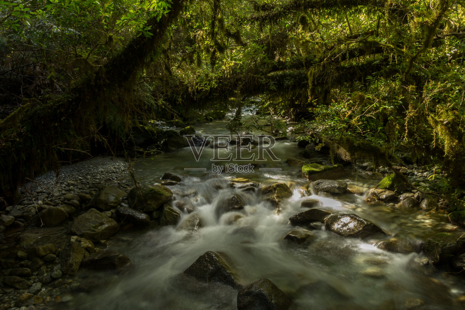 智利河照片摄影图片