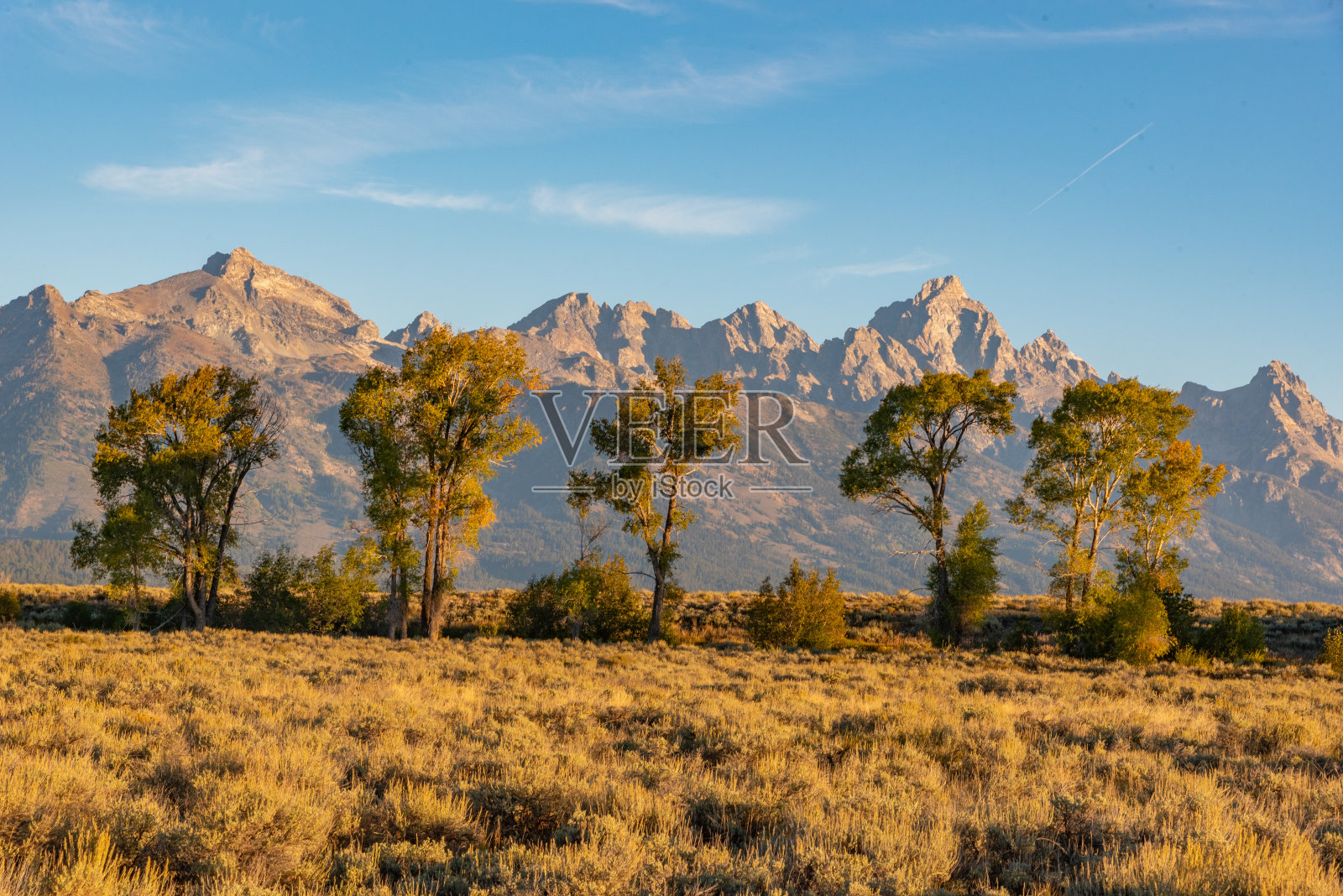 大提顿国家公园的秋景照片摄影图片