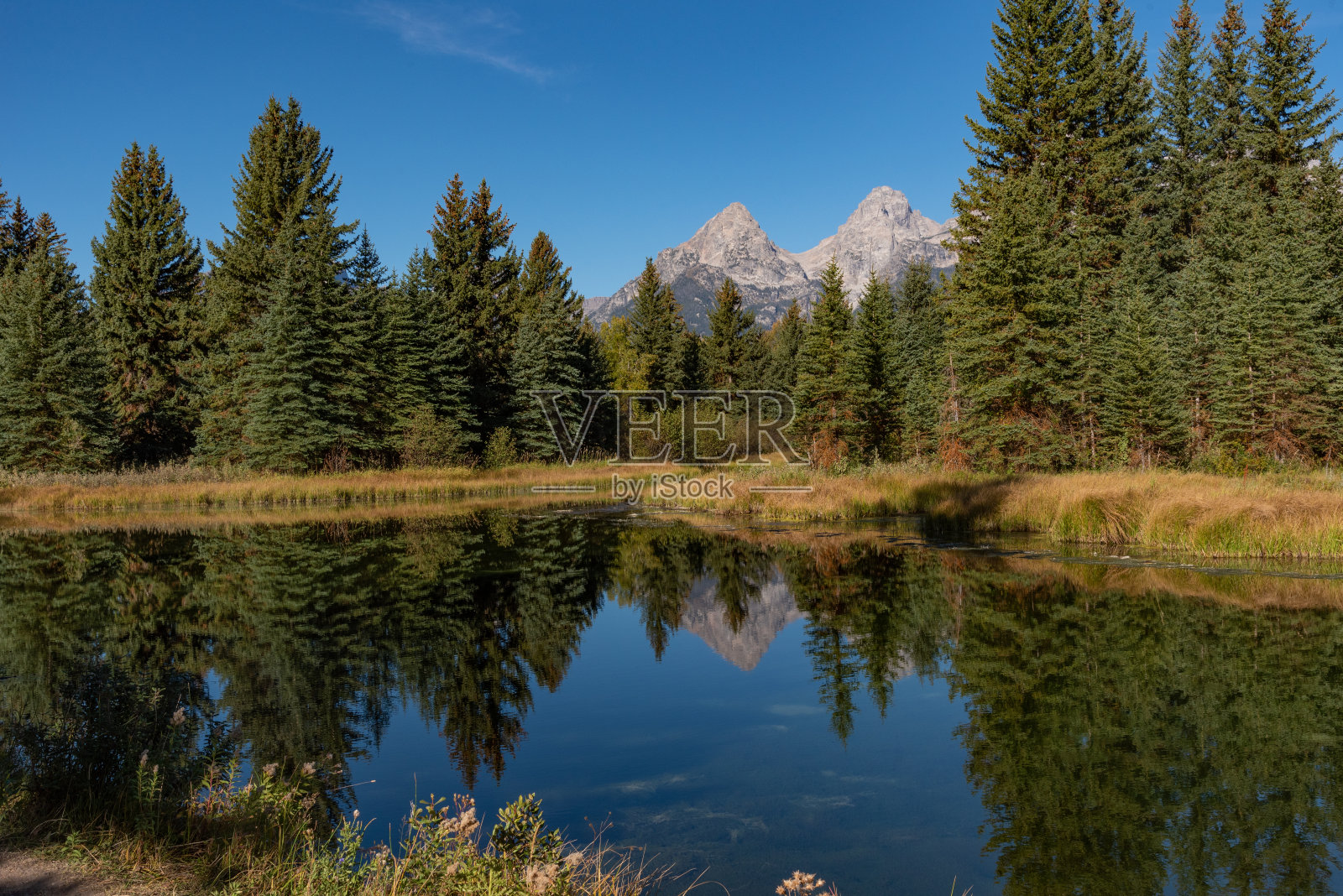 大提顿国家公园的蛇河秋景照片摄影图片