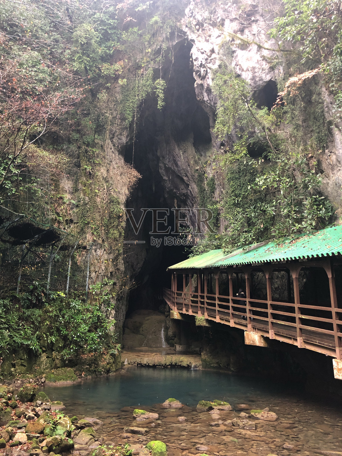 前面照片摄影图片