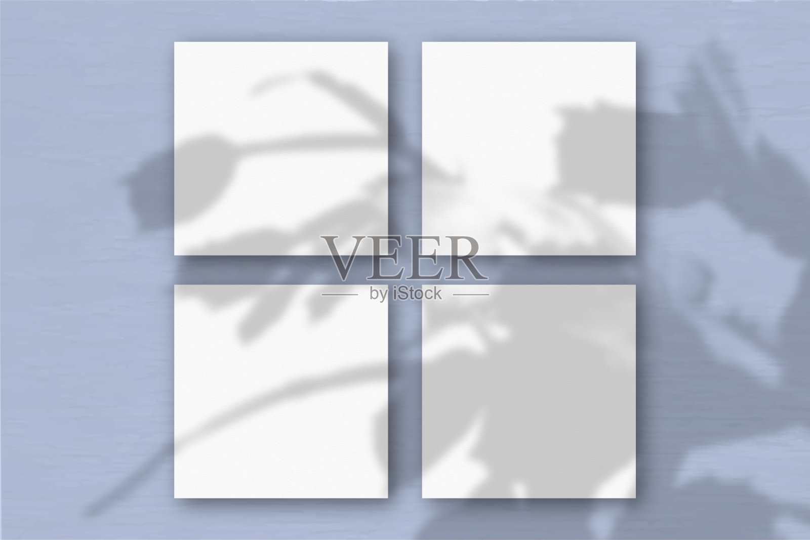 蓝色背景墙上的4张白色纹理纸。模型覆盖与植物阴影。自然光投射外来植物的阴影。平铺，俯视图照片摄影图片