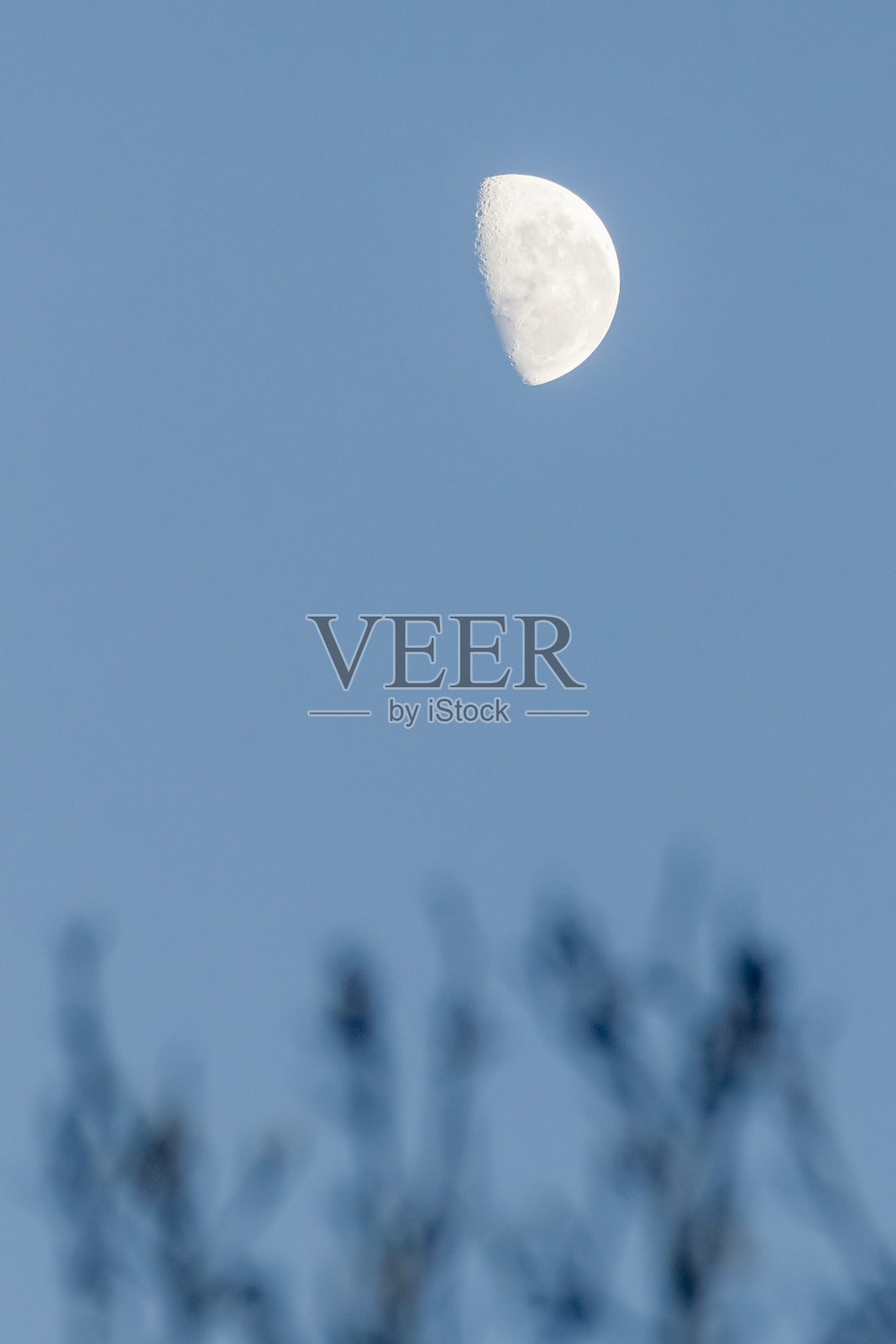 蓝蓝的天空中出现了一轮半月。照片摄影图片