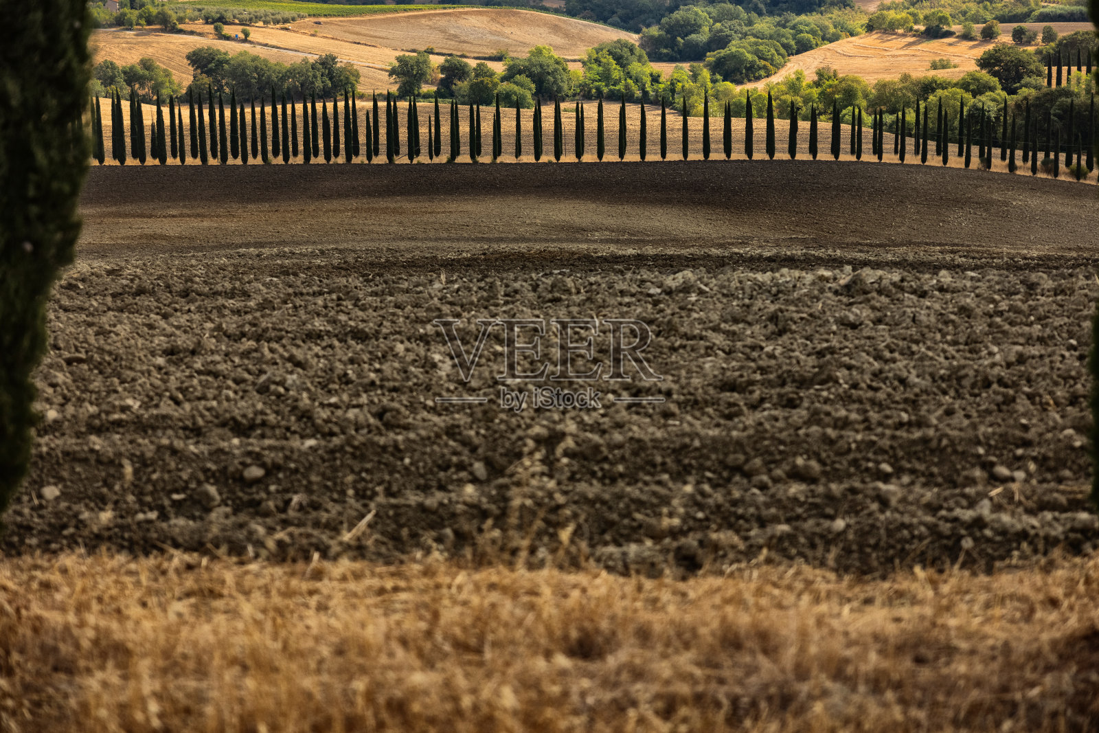 风景和乡村:标志性的托斯卡纳户外照片摄影图片