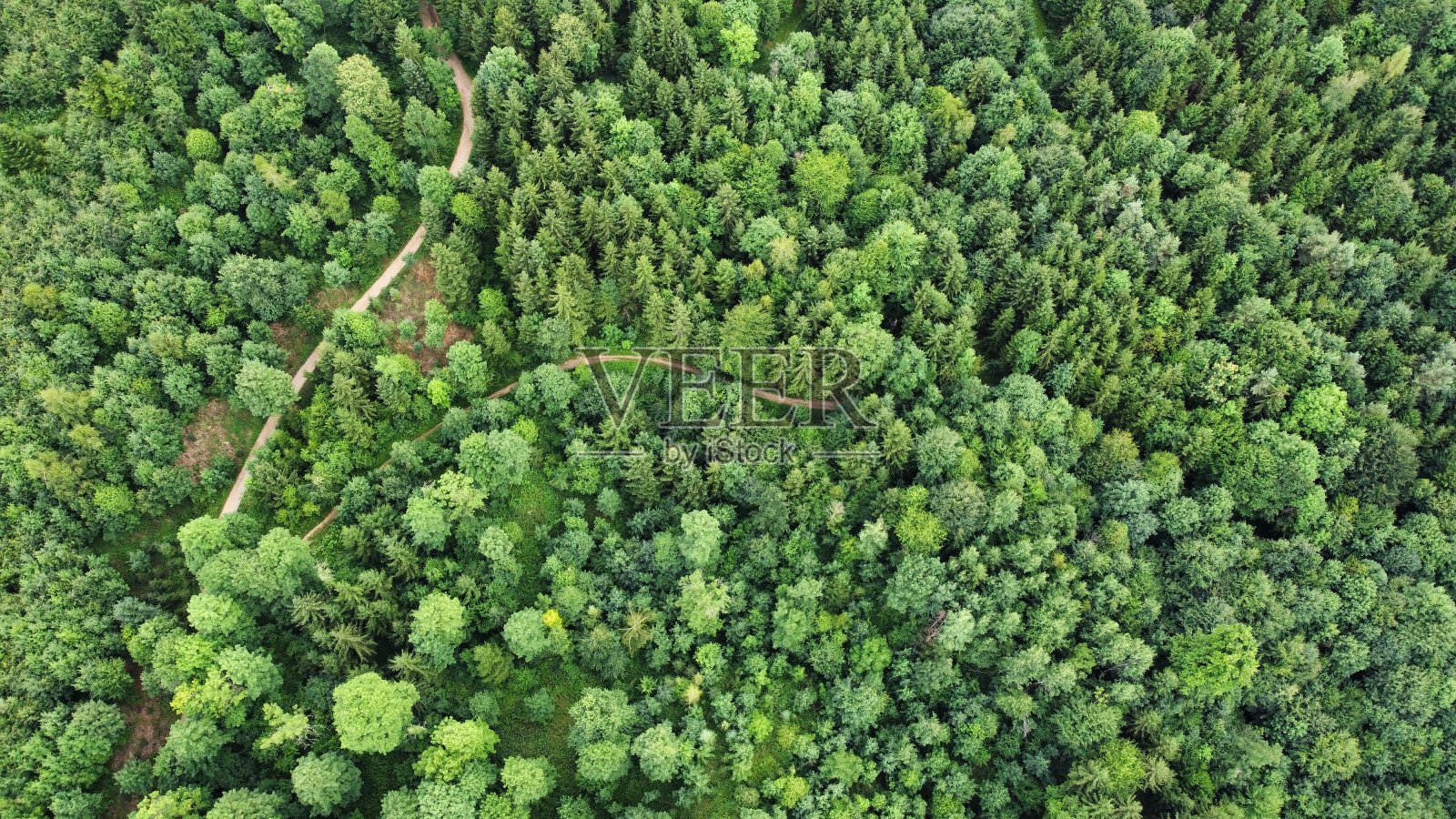 奥地利福勒斯特照片摄影图片